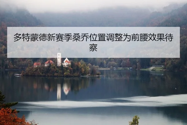 多特蒙德新赛季桑乔位置调整为前腰效果待察