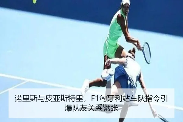 诺里斯与皮亚斯特里，F1匈牙利站车队指令引爆队友关系紧张