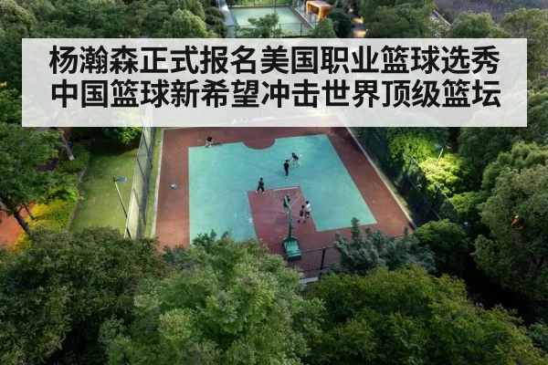 Chinese basketball center